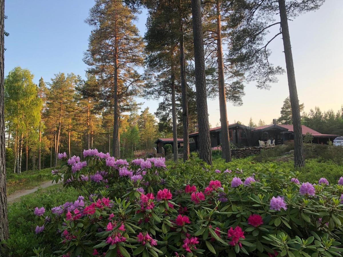 Timber Cottages With Jacuzzi And Sauna Near Lake Vaenern Karlstad Ngoại thất bức ảnh